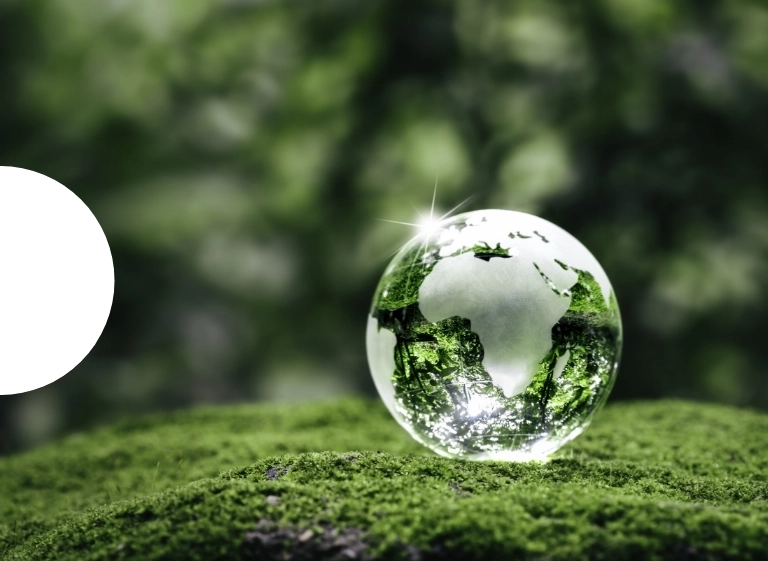 Wypełnienia ekologiczne